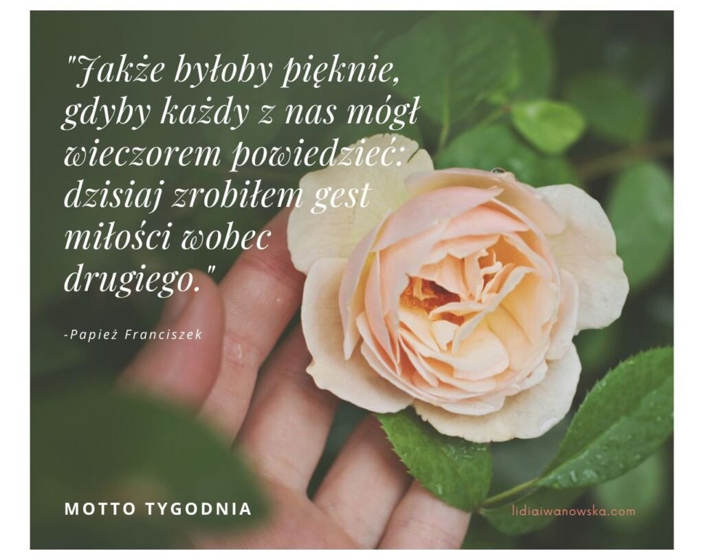 Motto Tygodnia Lidia Iwanowska Life Coach 1024x815 - Motto Tygodnia
